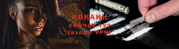 крисы Армянск