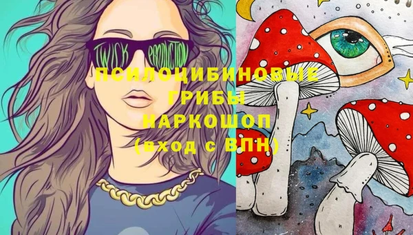 прущий лед Аркадак
