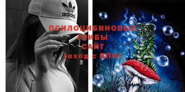 крисы Армянск