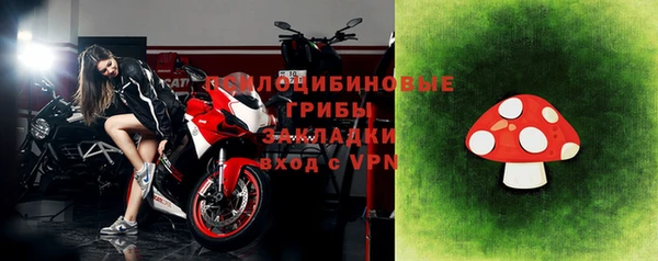 apvp Арсеньев